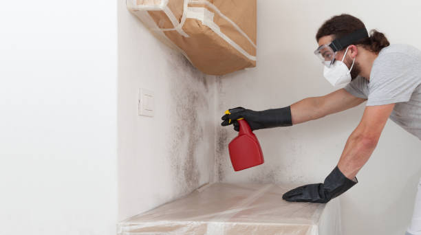 Professional Bathroom Mold Removal technician working in White Hall, MD